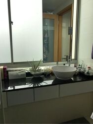 Parc Mackenzie (D9), Apartment #497373541